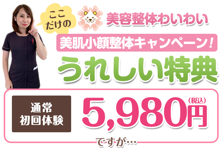 柳川 通常初回体験5980円（税込6578円）ですが